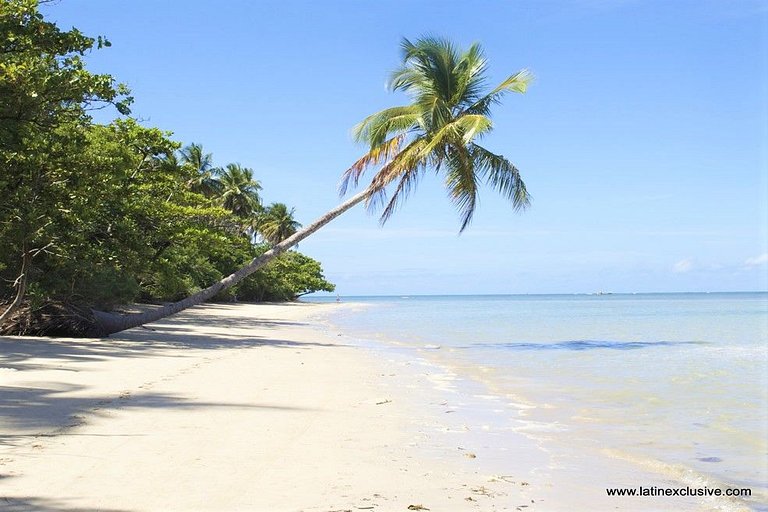 Bah505 - Incrivél Eco House com vistas impressionantes