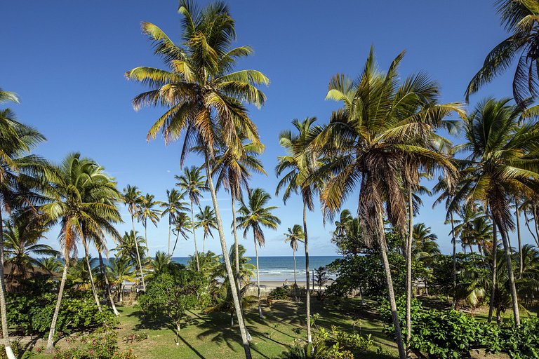 Playa, mata atlántica, Ilhéus, Bahía, mansión, lujo, siete s