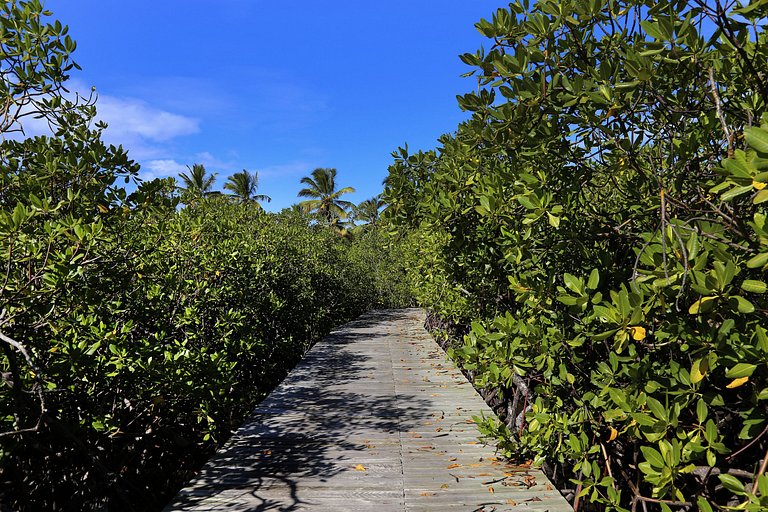 Bah051 - Villa con gran piscina en Trancoso