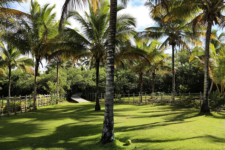 Bah051 - Villa com grande piscina em Trancoso