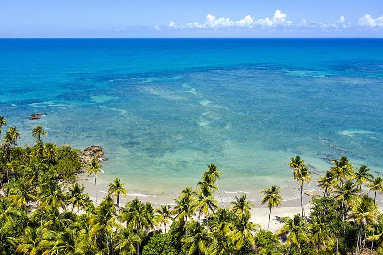 Bah501 - Casa de praia no estilo de Niemeyer