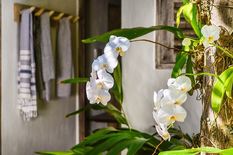 Bah072 - Charmosa casa a dois passos do Quadrado