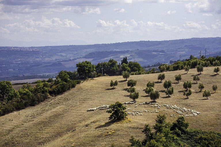 Umb008 - Splendid villa, Umbrian farming estate