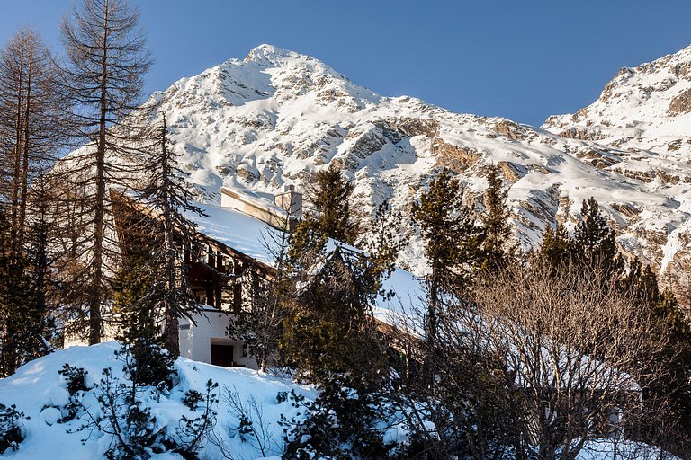 Gri008 - Luxurious Swiss ski chalet, near St. Moritz