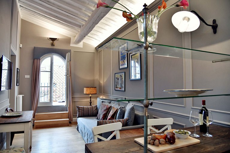 Tus014 - Superior apartment with terrace in Florence center