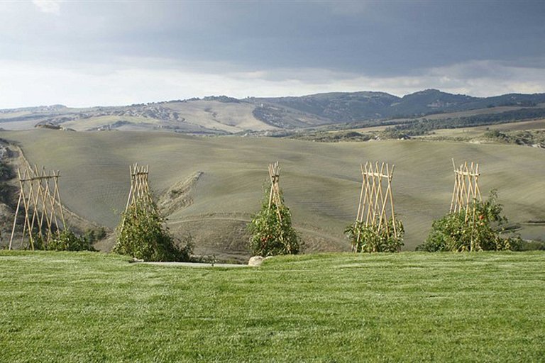 Tus002 - Magnificent country villa, Tuscany