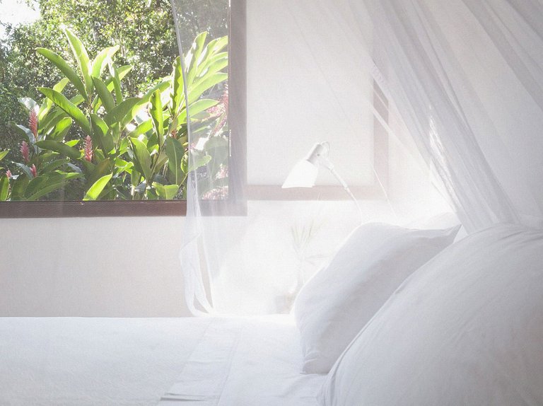 Ang037 - Lindo sítio beira-mar em Angra dos Reis