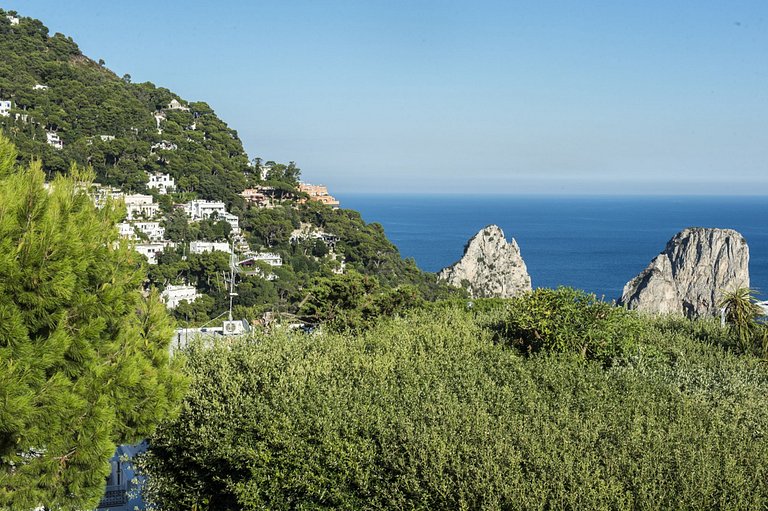 Cam015 - Villa on the island of Capri, Campania