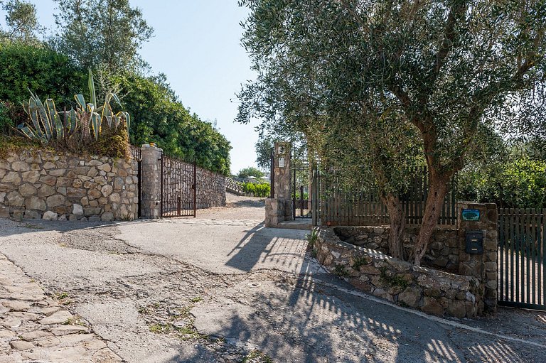 Cam011 - Villa à Sorrente, Campanie