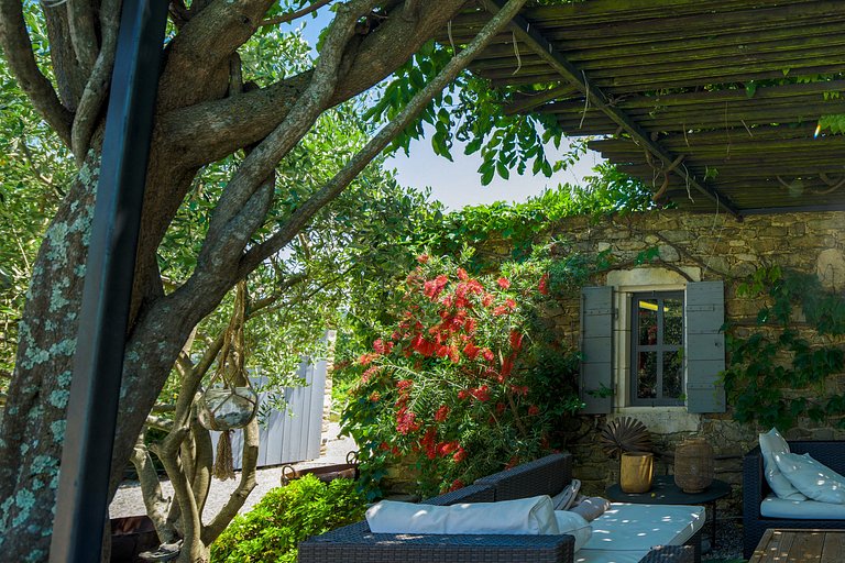 Pro001 - Casa em Goudargues, Provence