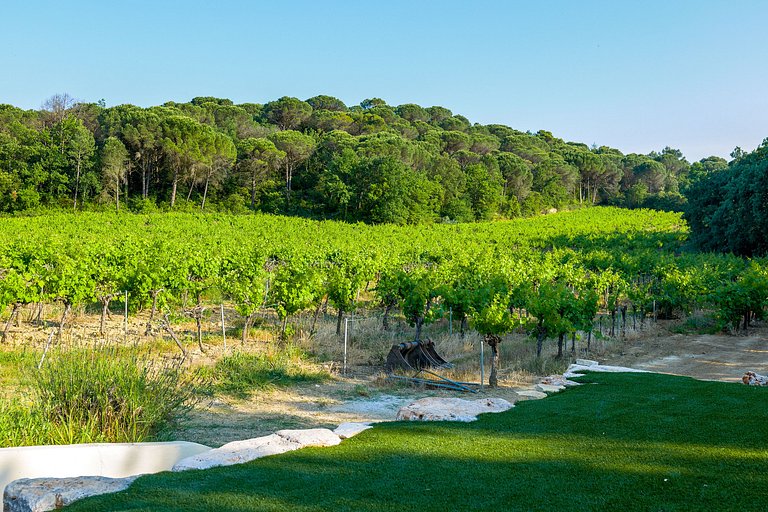 Pro001 - Mas à Goudargues, Provence