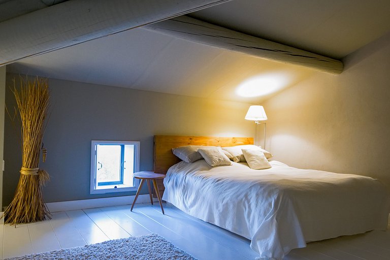 Pro001 - House in Goudargues, Provence