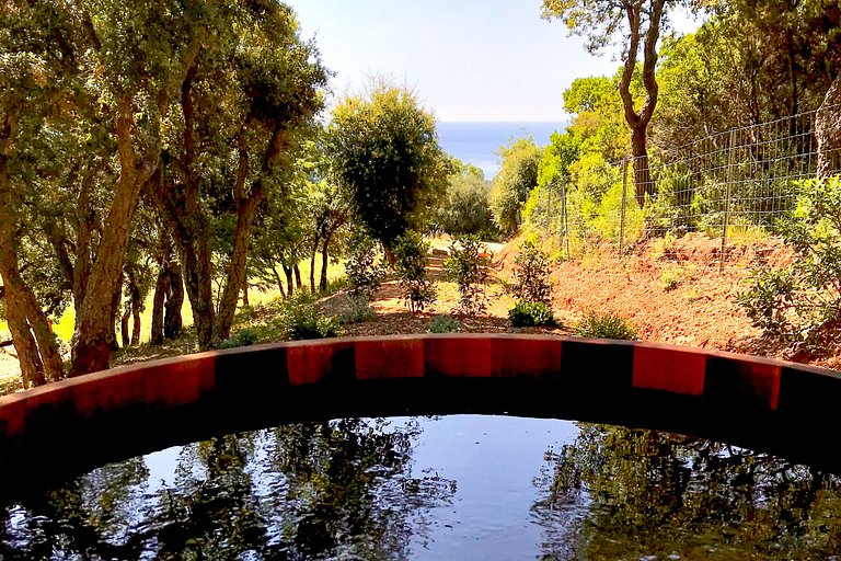 Azu016 - Residencia privada junto a Saint-Tropez