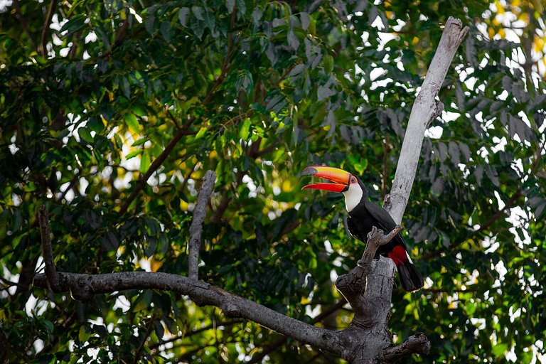 Goi001 - Encantadora casa de campo en Chapada dos Veadeiros