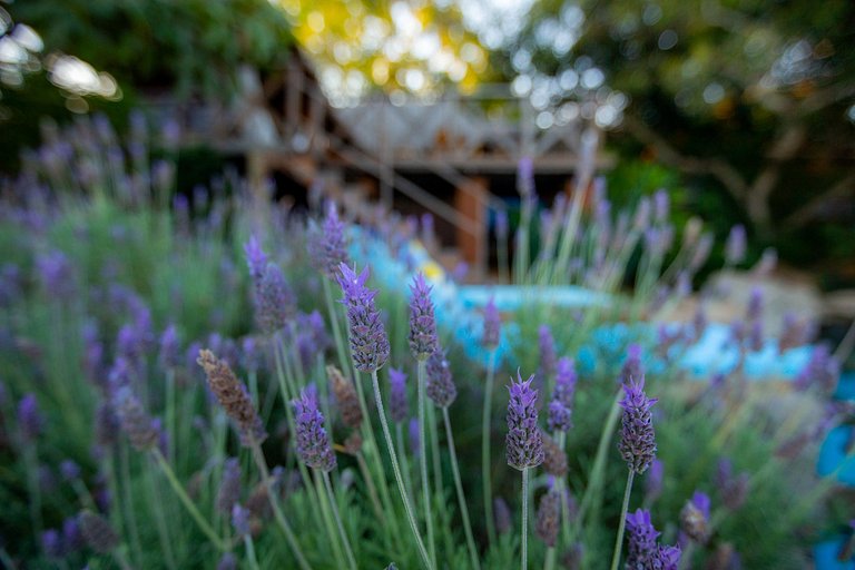 Goi001 - Charmosa casa de campo na Chapada dos Veadeiros
