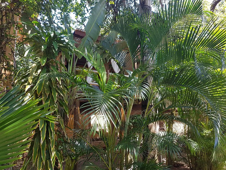 Bah242 - Casa com 6 unidades independentes em Arraial d'Ajud