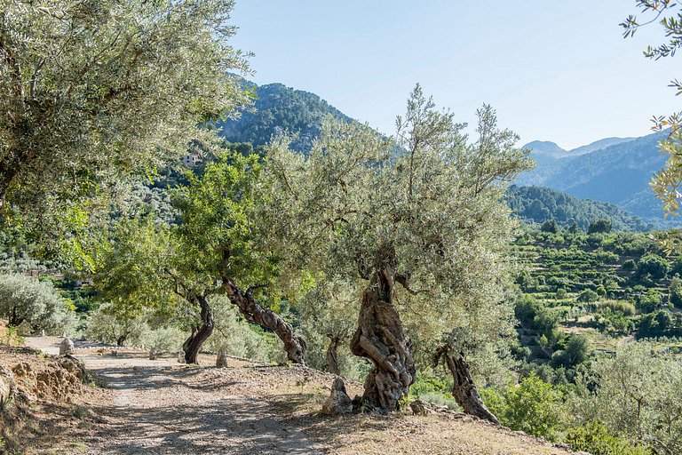 Mal005 - Traditional Spanish Villa, Mallorca