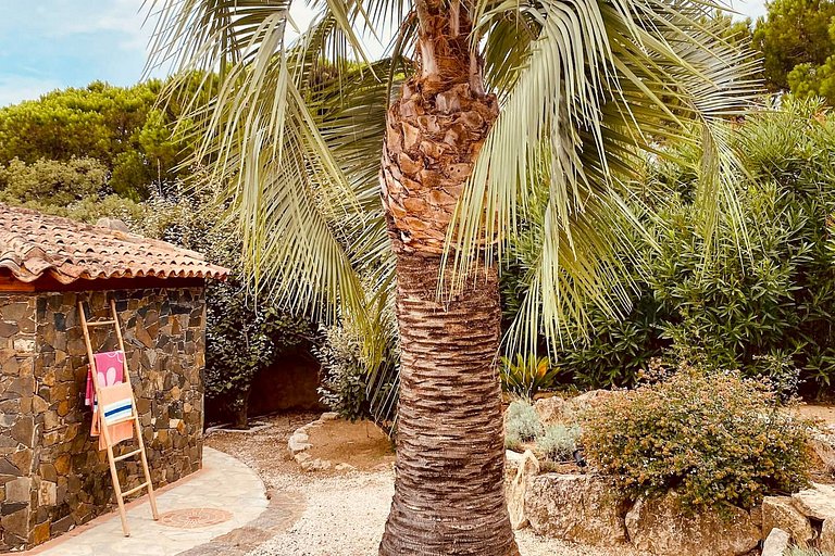 Azu038 - Villa provençal près de Saint Tropez