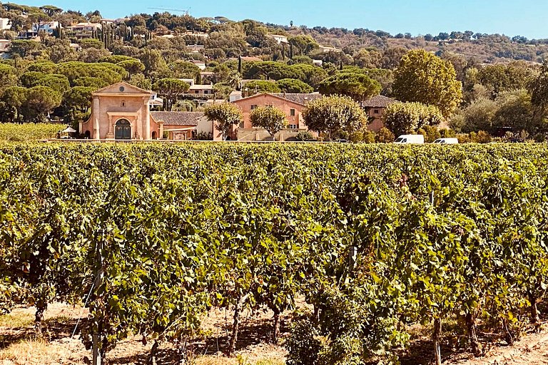 Azu038 - Provencal house near Saint Tropez