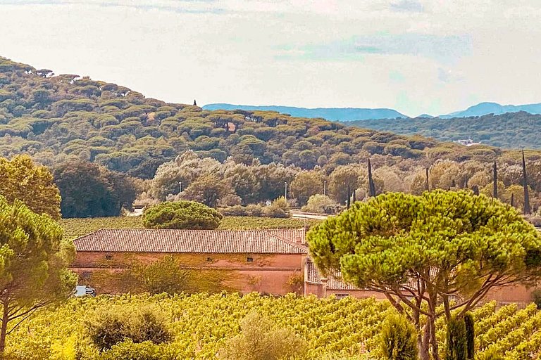 Azu038 - Provencal house near Saint Tropez