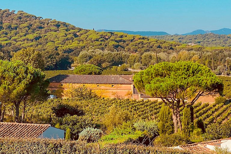 Azu038 - Provencal house near Saint Tropez