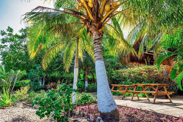 Car094 - Lindo bangalô de 4 quartos em Baru