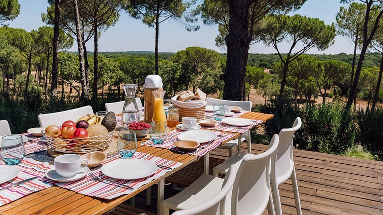 Com001 - Casa moderna rodeada de pinos en Comporta