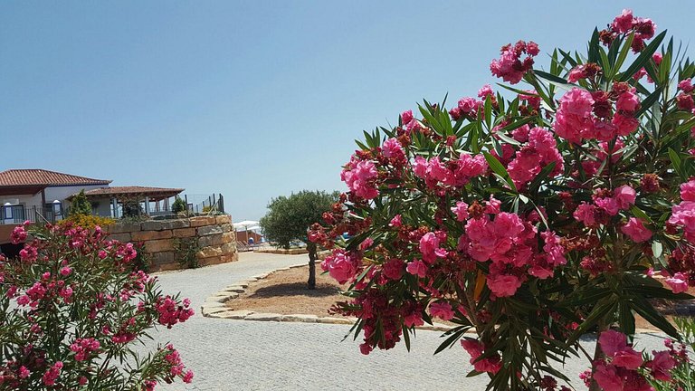 Alg013 - Casa de lujo en perfecta armonía en Algarve.
