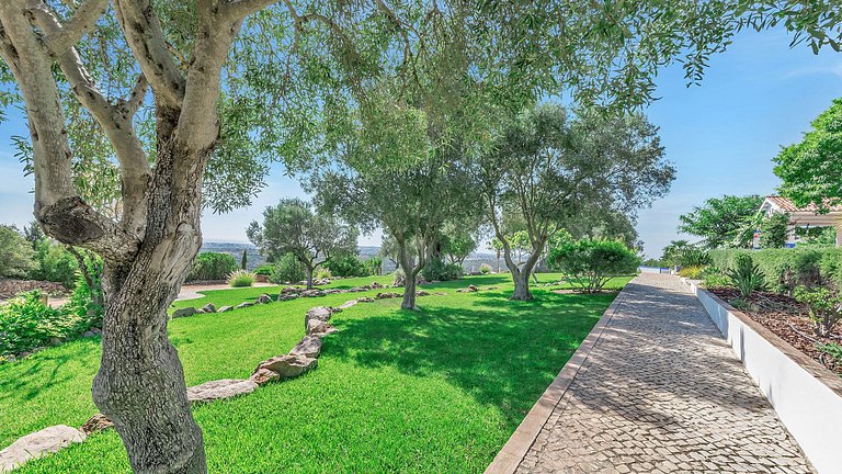 Alg015 - Casa rodeada por el aroma de la lavanda