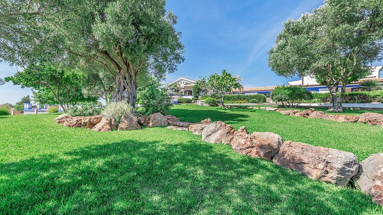 Alg015 - Casa rodeada pelo aroma a alfazema