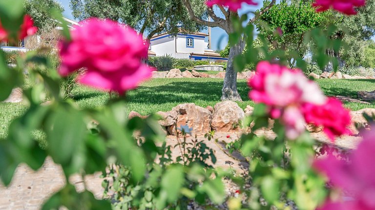 Alg015 - House surrounded by the scent of lavender