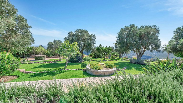 Alg015 - Villa entourée par le parfum de la lavande