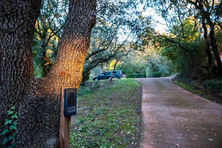 Azu043 - Villa em estilo minimalista em Gassin