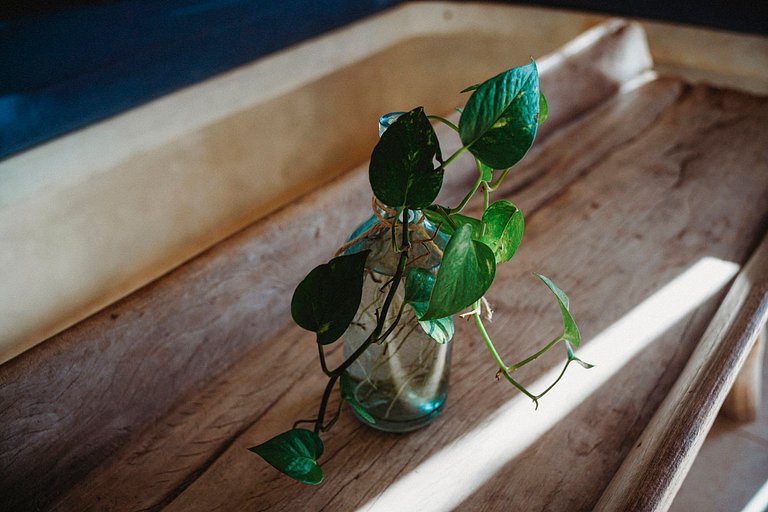 Tul044 - Magnifique villa en bord de plage à Tulum, Méxique