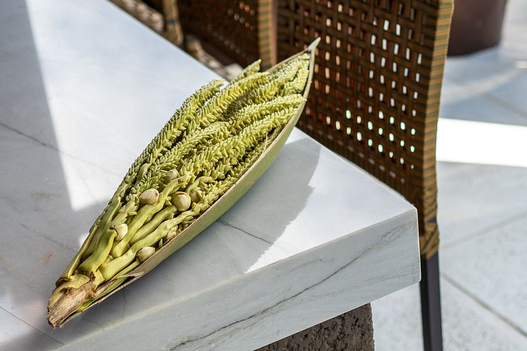 Bah306 - Casa nova em frente ao mar