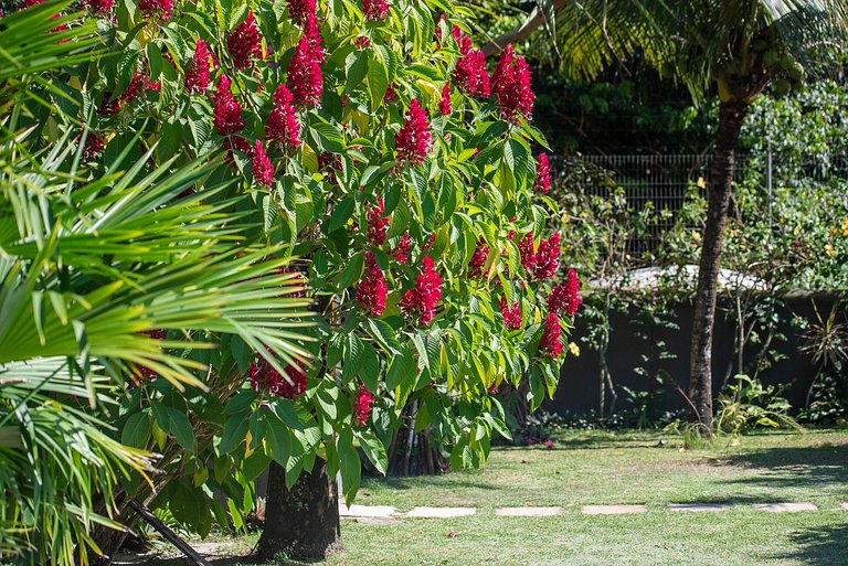 Bah230 - Casa alto padrão em Arraial d´Ajuda