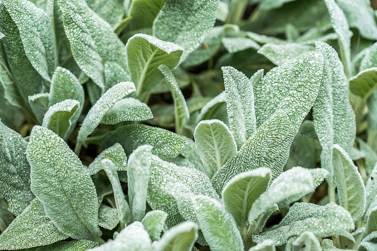 Sao008 - Casa en Atibaia a una hora de São Paulo