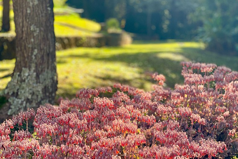 Sao008 - Sitio em Atibaia à uma hora de São Paulo