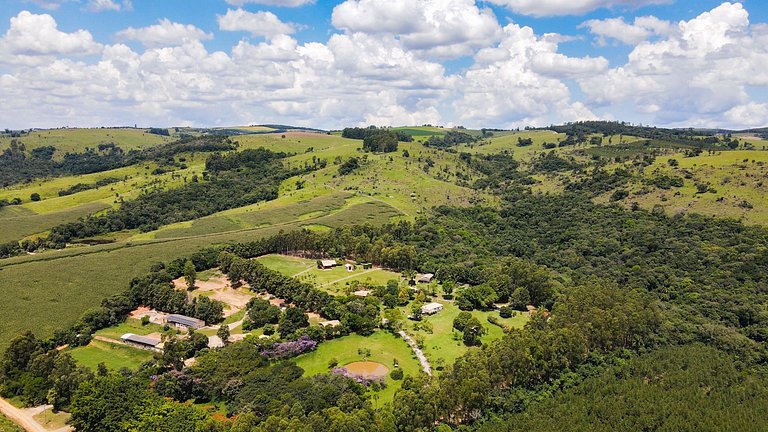 Haras, Salto de Pirapora, natureza, cavalos.