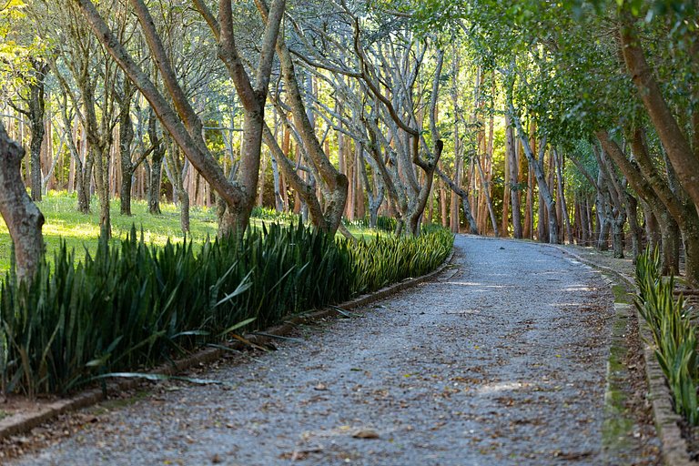 Haras, Salto de Pirapora, ambiente rural, caballos