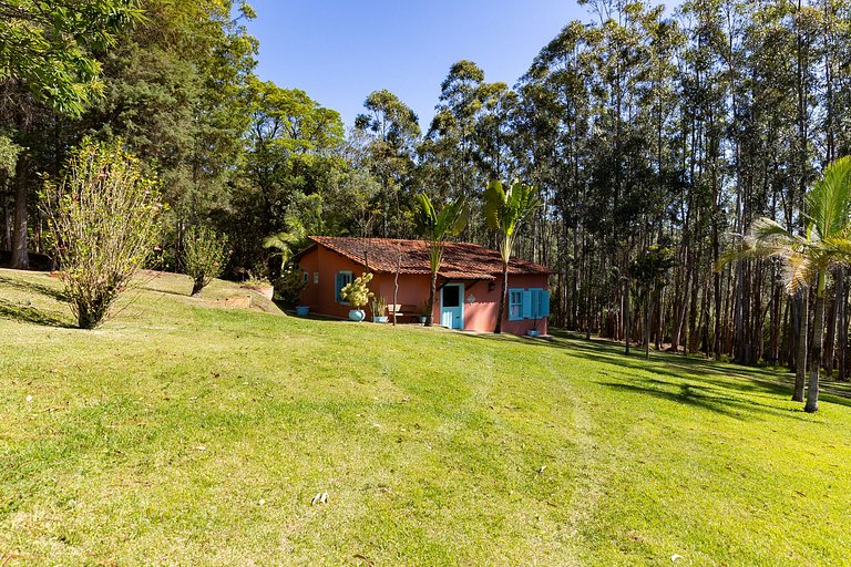 Farm, rural environment, horses, Salto de Pirapora