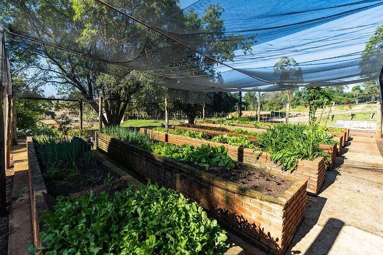 Farm, rural environment, horses, Salto de Pirapora
