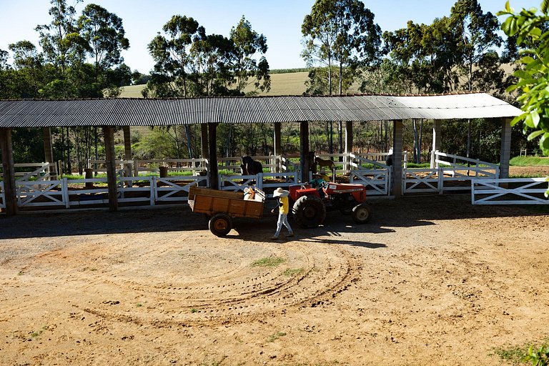 Farm, rural environment, horses, Salto de Pirapora