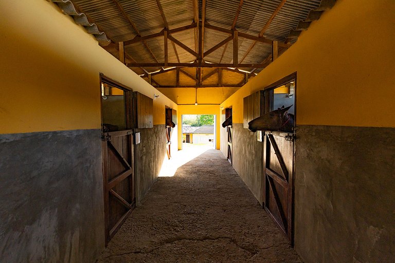 Haras, Salto de Pirapora, natureza, cavalos.