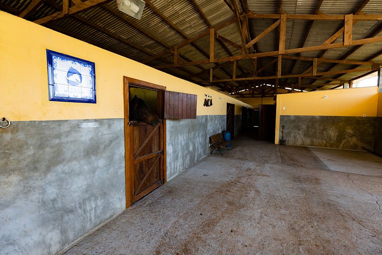 Haras, Salto de Pirapora, natureza, cavalos.