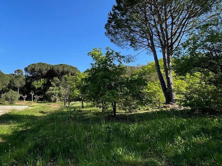 Azu049 - Villa de charme entre vignes à Croix-Valmer