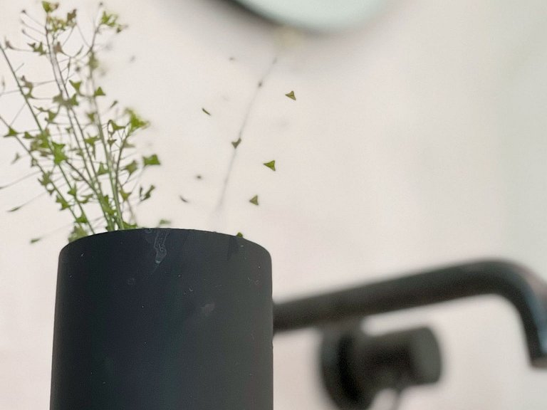 Azu049 - Villa de charme entre vignes à Croix-Valmer