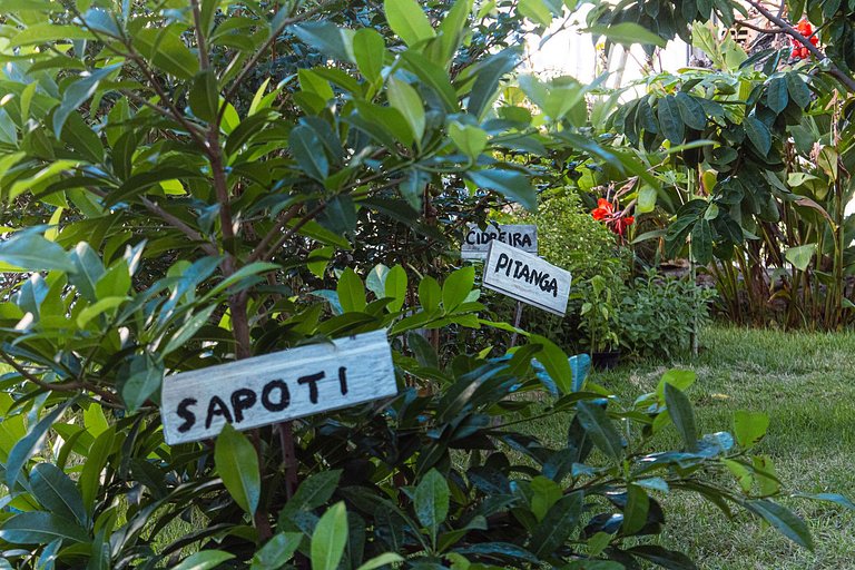 Cea065 - Chalets de charme à Barra, à Fortim