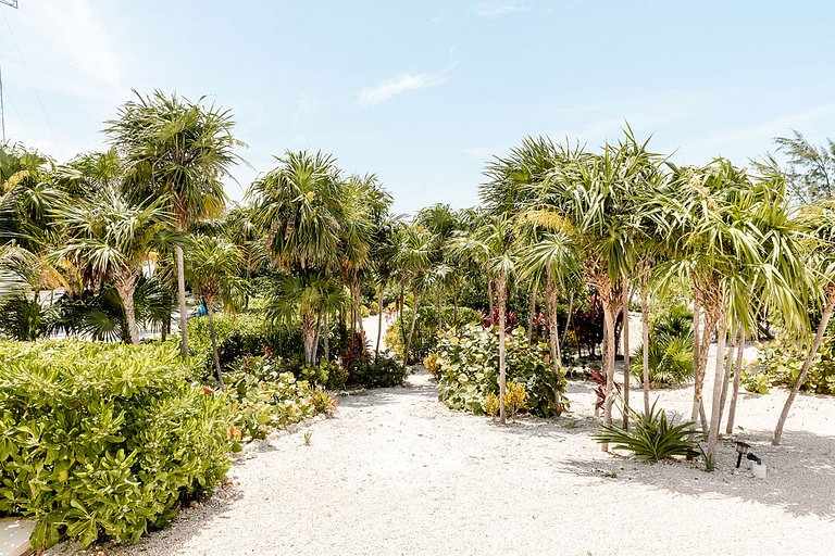 Can004 - Villa de luxo majestosa em Cancún