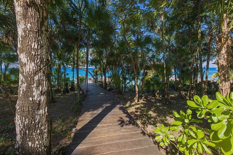 Coz005 - Exceptional villa in Cozumel